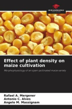 Effect of plant density on maize cultivation