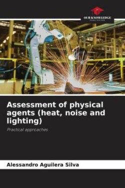 Assessment of physical agents (heat, noise and lighting)