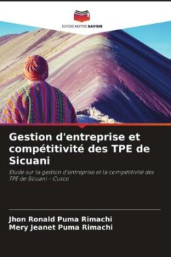 Gestion d'entreprise et compétitivité des TPE de Sicuani