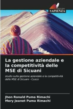 gestione aziendale e la competitività delle MSE di Sicuani