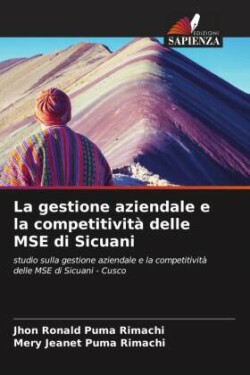 La gestione aziendale e la competitività delle MSE di Sicuani