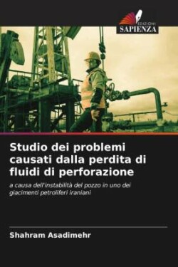 Studio dei problemi causati dalla perdita di fluidi di perforazione