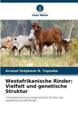 Westafrikanische Rinder