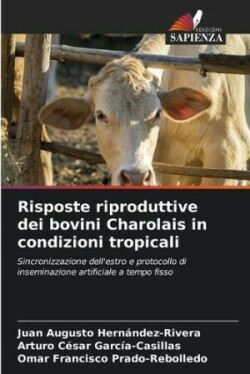 Risposte riproduttive dei bovini Charolais in condizioni tropicali