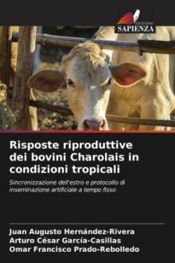 Risposte riproduttive dei bovini Charolais in condizioni tropicali