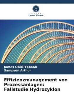 Effizienzmanagement von Prozessanlagen: Fallstudie Hydrozyklon