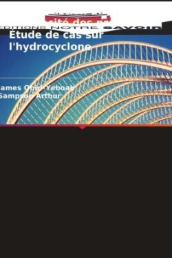 Unité Gestion de l'efficacité des processus : Étude de cas sur l'hydrocyclone