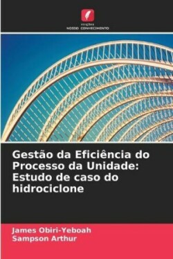 Gestão da Eficiência do Processo da Unidade