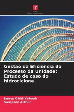 Gestão da Eficiência do Processo da Unidade: Estudo de caso do hidrociclone