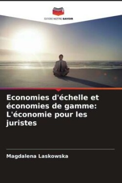 Economies d'échelle et économies de gamme