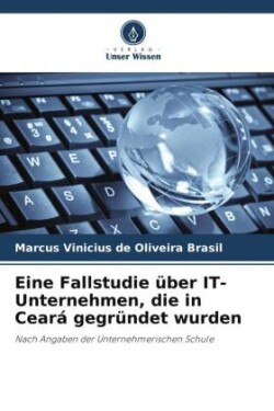 Eine Fallstudie über IT-Unternehmen, die in Ceará gegründet wurden