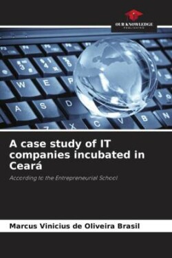 A case study of IT companies incubated in Ceará