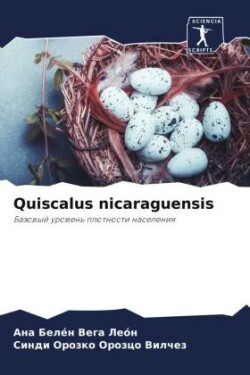 Quiscalus nicaraguensis