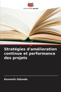 Stratégies d'amélioration continue et performance des projets