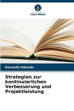 Strategien zur kontinuierlichen Verbesserung und Projektleistung