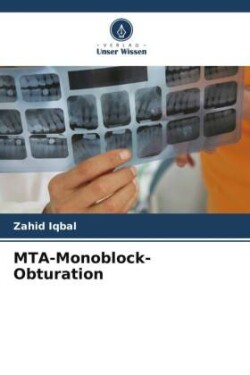 MTA-Monoblock-Obturation