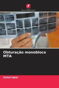 Obturação monobloco MTA