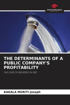 THE DETERMINANTS OF A PUBLIC COMPANY'S PROFITABILITY