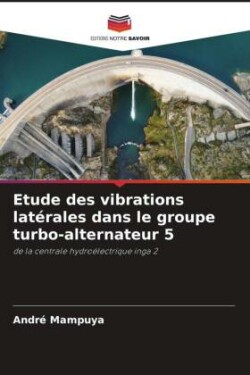 Etude des vibrations latérales dans le groupe turbo-alternateur 5