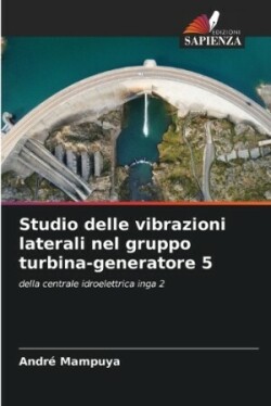 Studio delle vibrazioni laterali nel gruppo turbina-generatore 5