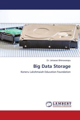 Big Data Storage