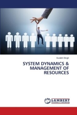 System Dynamics & Management of Resources