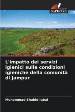 L'impatto dei servizi igienici sulle condizioni igieniche della comunità di Jampur