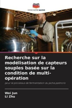 Recherche sur la modélisation de capteurs souples basée sur la condition de multi-opération