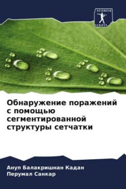 Obnaruzhenie porazhenij s pomosch'ü segmentirowannoj struktury setchatki