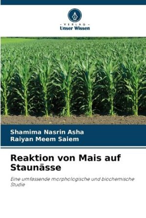 Reaktion von Mais auf Staunässe