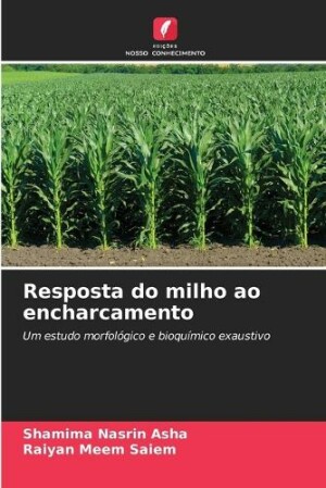 Resposta do milho ao encharcamento