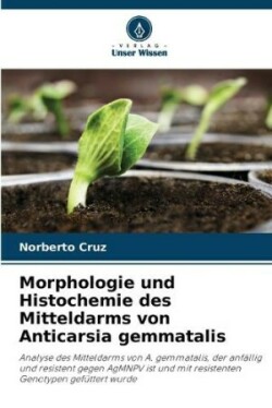 Morphologie und Histochemie des Mitteldarms von Anticarsia gemmatalis