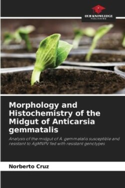 Morphology and Histochemistry of the Midgut of Anticarsia gemmatalis