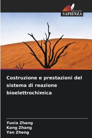 Costruzione e prestazioni del sistema di reazione bioelettrochimica