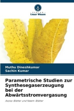 Parametrische Studien zur Synthesegaserzeugung bei der Abwärtsstromvergasung