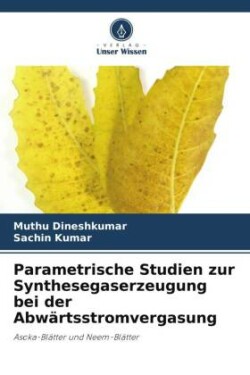 Parametrische Studien zur Synthesegaserzeugung bei der Abwärtsstromvergasung