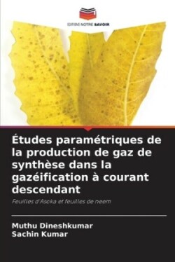 Études paramétriques de la production de gaz de synthèse dans la gazéification à courant descendant