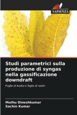 Studi parametrici sulla produzione di syngas nella gassificazione downdraft