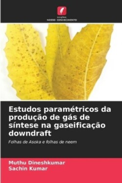 Estudos paramétricos da produção de gás de síntese na gaseificação downdraft