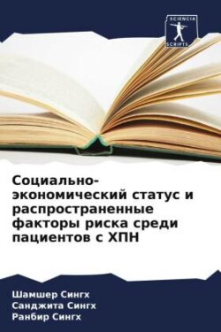 Social'no-äkonomicheskij status i rasprostranennye faktory riska sredi pacientow s HPN