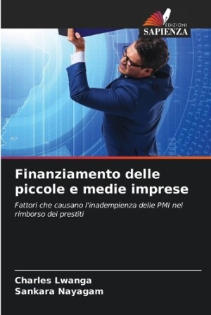 Finanziamento delle piccole e medie imprese