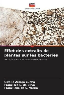 Effet des extraits de plantes sur les bactéries