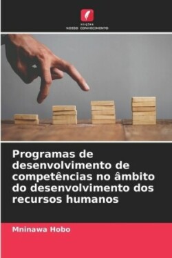 Programas de desenvolvimento de competências no âmbito do desenvolvimento dos recursos humanos