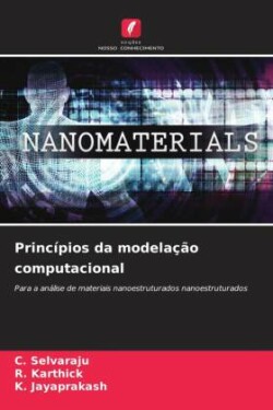 Princípios da modelação computacional