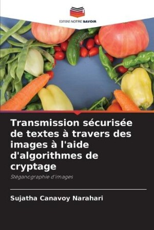 Transmission sécurisée de textes à travers des images à l'aide d'algorithmes de cryptage