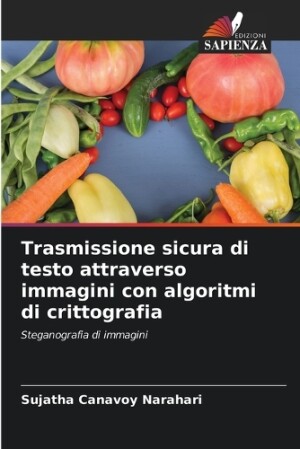 Trasmissione sicura di testo attraverso immagini con algoritmi di crittografia