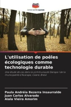 L'utilisation de poêles écologiques comme technologie durable