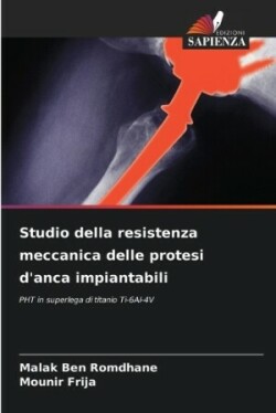 Studio della resistenza meccanica delle protesi d'anca impiantabili