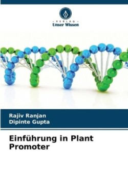 Einführung in Plant Promoter