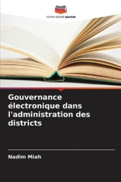 Gouvernance électronique dans l'administration des districts